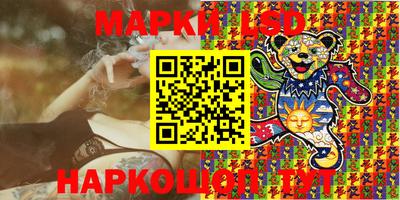стаф Кингисепп