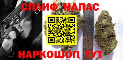 стаф Кингисепп
