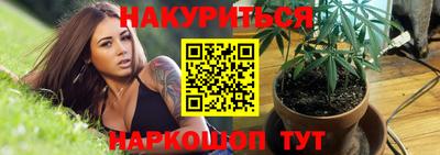 стаф Кингисепп