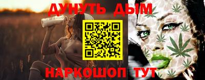 стаф Кингисепп