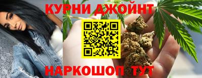 стаф Кингисепп