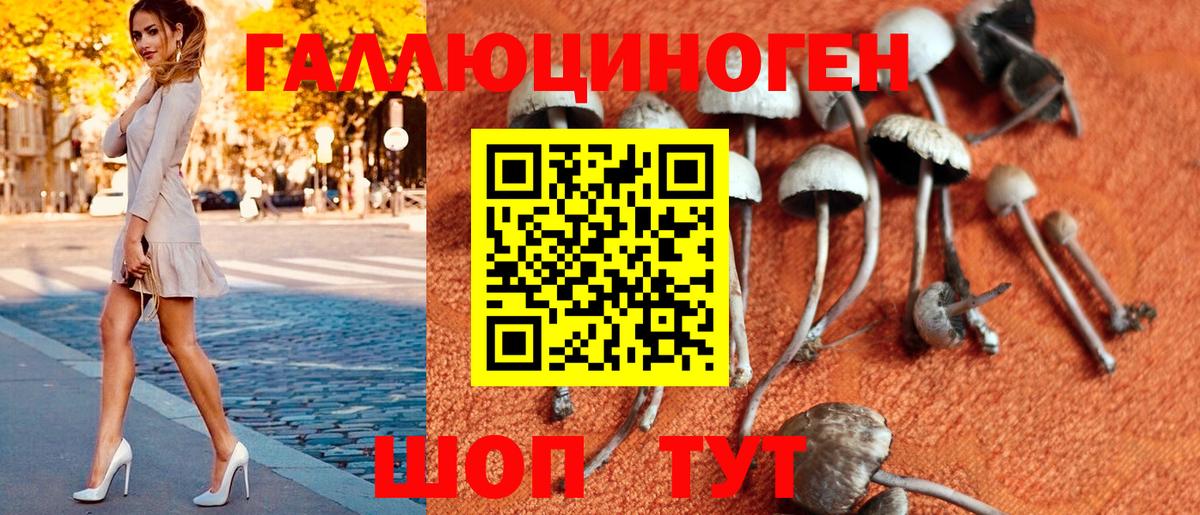 Псилоцибиновые грибы мухоморы Янаул