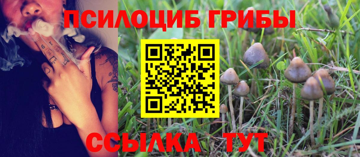 Янаул  Псилоцибиновые грибы Magic Shrooms  Вход с VPN 